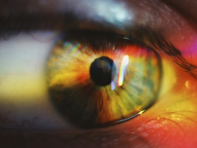 L&rsquo;identification biométrique dans les entreprises